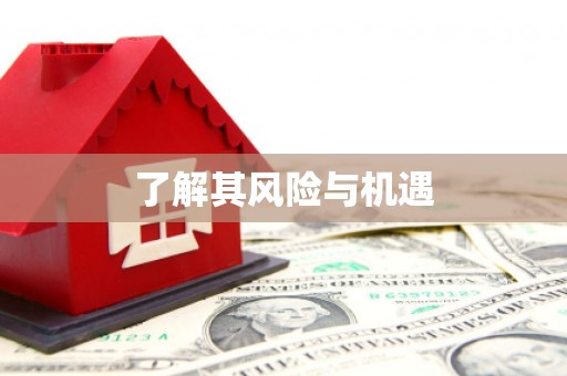 东安了解其风险与机遇