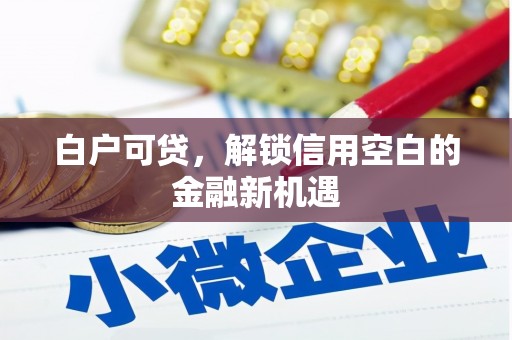 东安白户可贷，解锁信用空白的金融新机遇