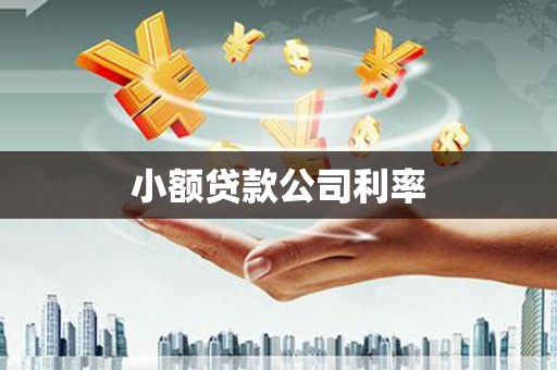 东安小额贷款公司利率