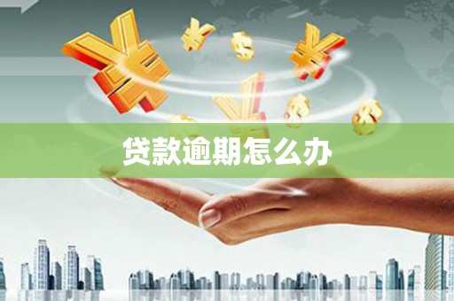 东安贷款逾期怎么办