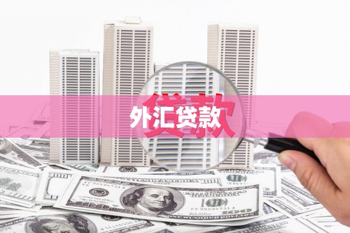 东安外汇贷款