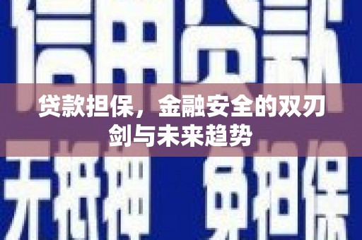 东安贷款担保，金融安全的双刃剑与未来趋势
