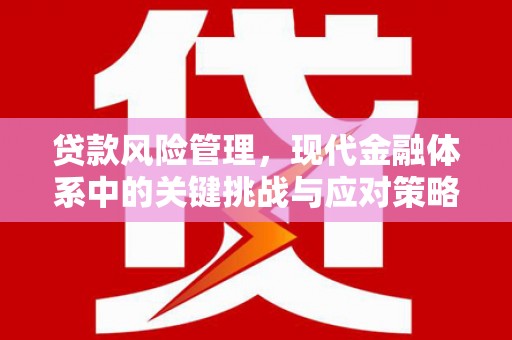 东安贷款风险管理，现代金融体系中的关键挑战与应对策略