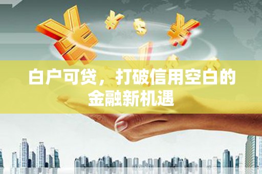 东安白户可贷，打破信用空白的金融新机遇