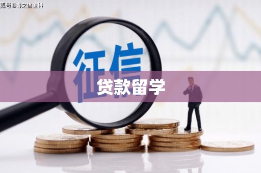 东安贷款留学