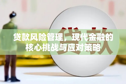 东安贷款风险管理，现代金融的核心挑战与应对策略
