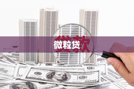 东安微粒贷