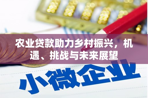东安农业贷款助力乡村振兴，机遇、挑战与未来展望