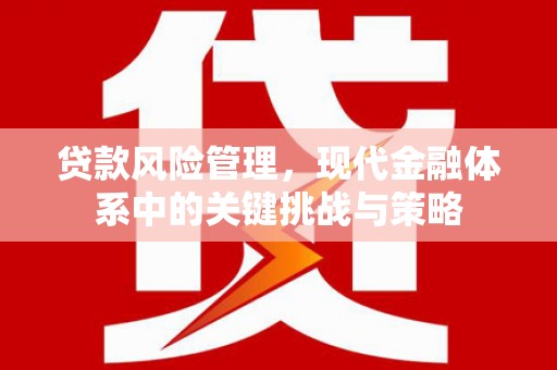东安贷款风险管理，现代金融体系中的关键挑战与策略