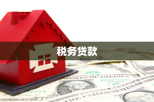 东安税务贷款