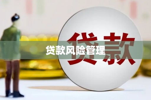 东安贷款风险管理