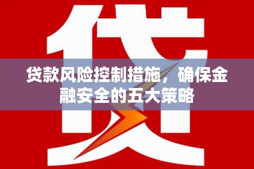 东安贷款风险控制措施，确保金融安全的五大策略