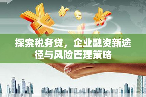 东安探索税务贷，企业融资新途径与风险管理策略