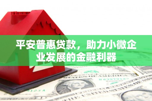 东安平安普惠贷款，助力小微企业发展的金融利器