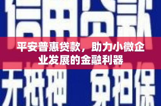 东安平安普惠贷款，助力小微企业发展的金融利器