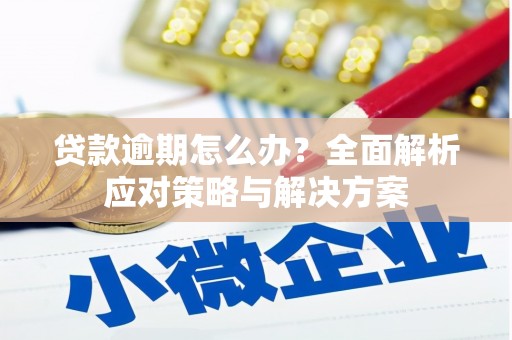 东安贷款逾期怎么办？全面解析应对策略与解决方案