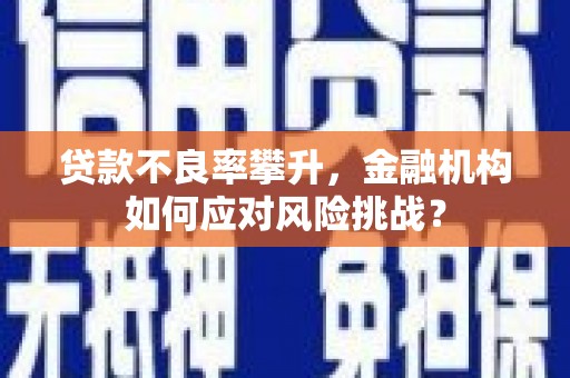 东安贷款不良率攀升，金融机构如何应对风险挑战？