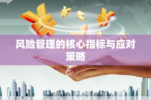 东安风险管理的核心指标与应对策略