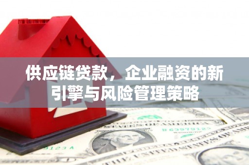 东安供应链贷款，企业融资的新引擎与风险管理策略