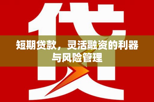 东安短期贷款，灵活融资的利器与风险管理
