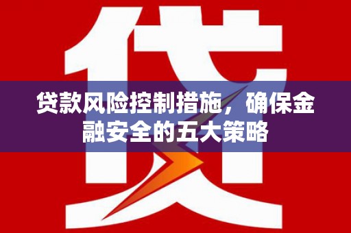 东安贷款风险控制措施，确保金融安全的五大策略