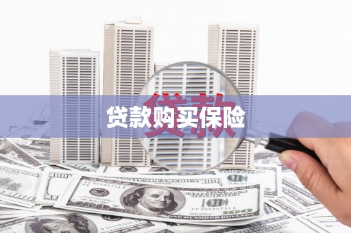 东安贷款购买保险