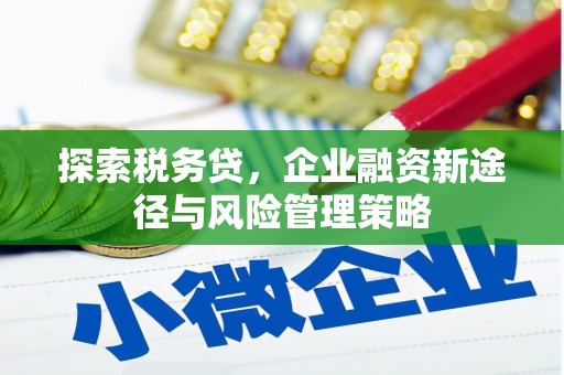 东安探索税务贷，企业融资新途径与风险管理策略