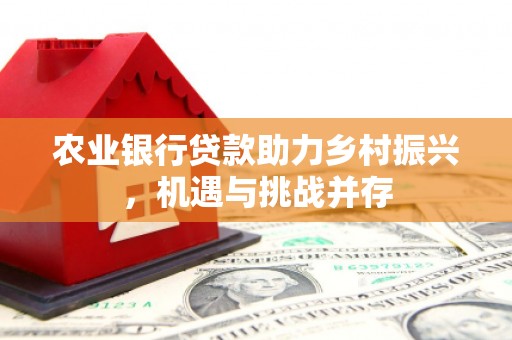 东安农业银行贷款助力乡村振兴，机遇与挑战并存