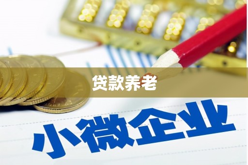 东安贷款养老