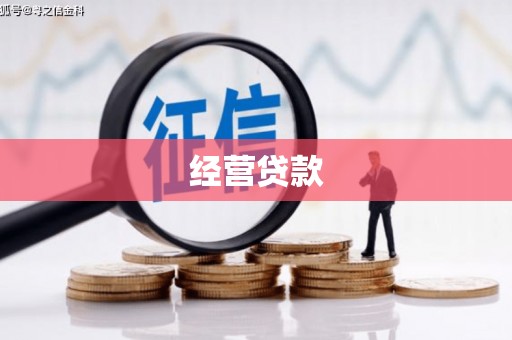 东安经营贷款