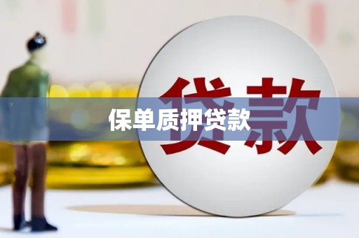 东安保单质押贷款
