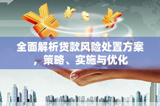 东安全面解析贷款风险处置方案，策略、实施与优化