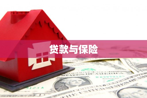 东安贷款与保险