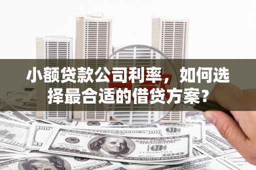 东安小额贷款公司利率，如何选择最合适的借贷方案？