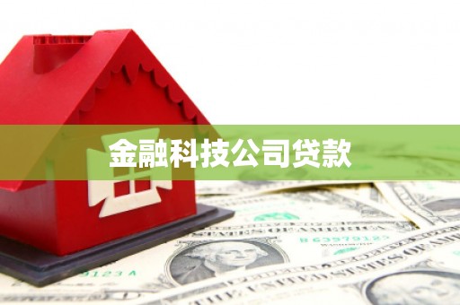 东安金融科技公司贷款