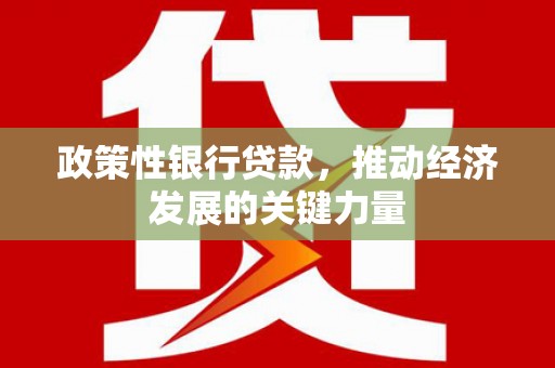 东安政策性银行贷款，推动经济发展的关键力量