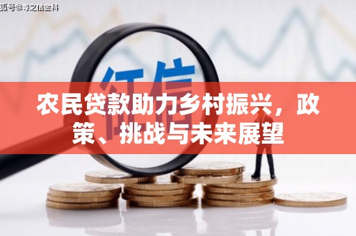 东安农民贷款助力乡村振兴，政策、挑战与未来展望