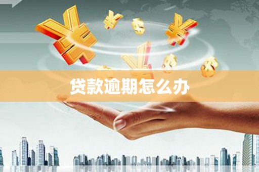 东安贷款逾期怎么办