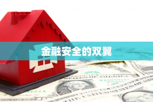 东安金融安全的双翼