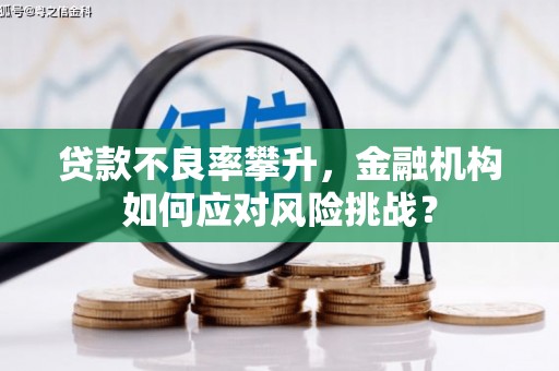 东安贷款不良率攀升，金融机构如何应对风险挑战？