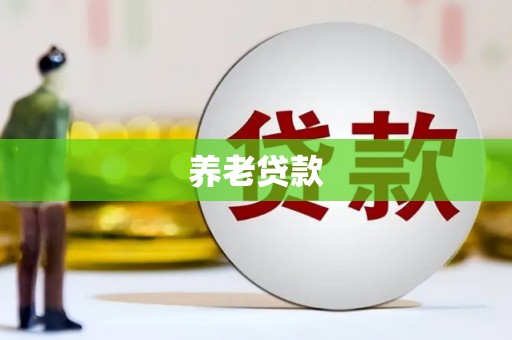 东安养老贷款