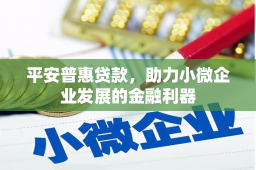 东安平安普惠贷款，助力小微企业发展的金融利器