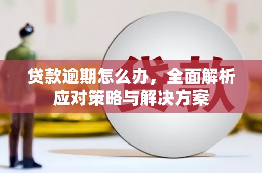 东安贷款逾期怎么办，全面解析应对策略与解决方案