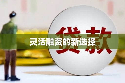 东安灵活融资的新选择