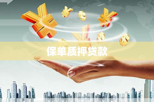 东安保单质押贷款