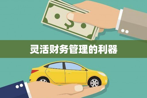 东安灵活财务管理的利器