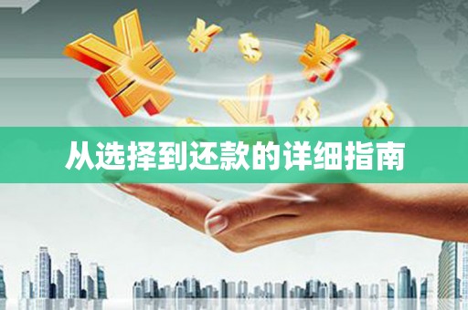 东安从选择到还款的详细指南