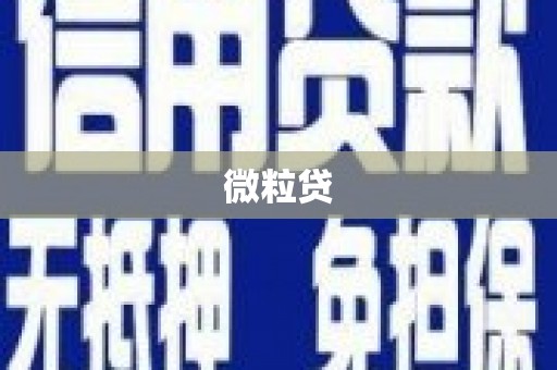 东安微粒贷