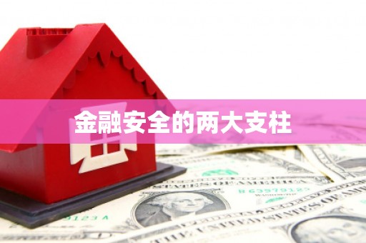 东安金融安全的两大支柱