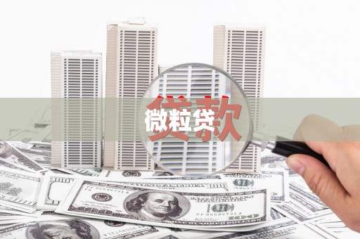东安微粒贷